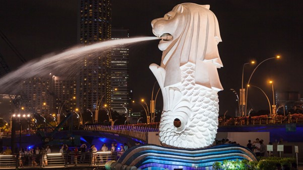 How Translation Services Help You Expand into the Singapore Market